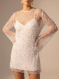 Sequin Mesh Long Sleeve Mini Dress