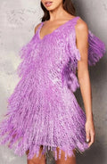 A Line Sequin Fringe Mini Dress