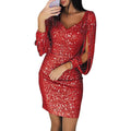 Sequin Tassel Sleeve Bodycon Dress