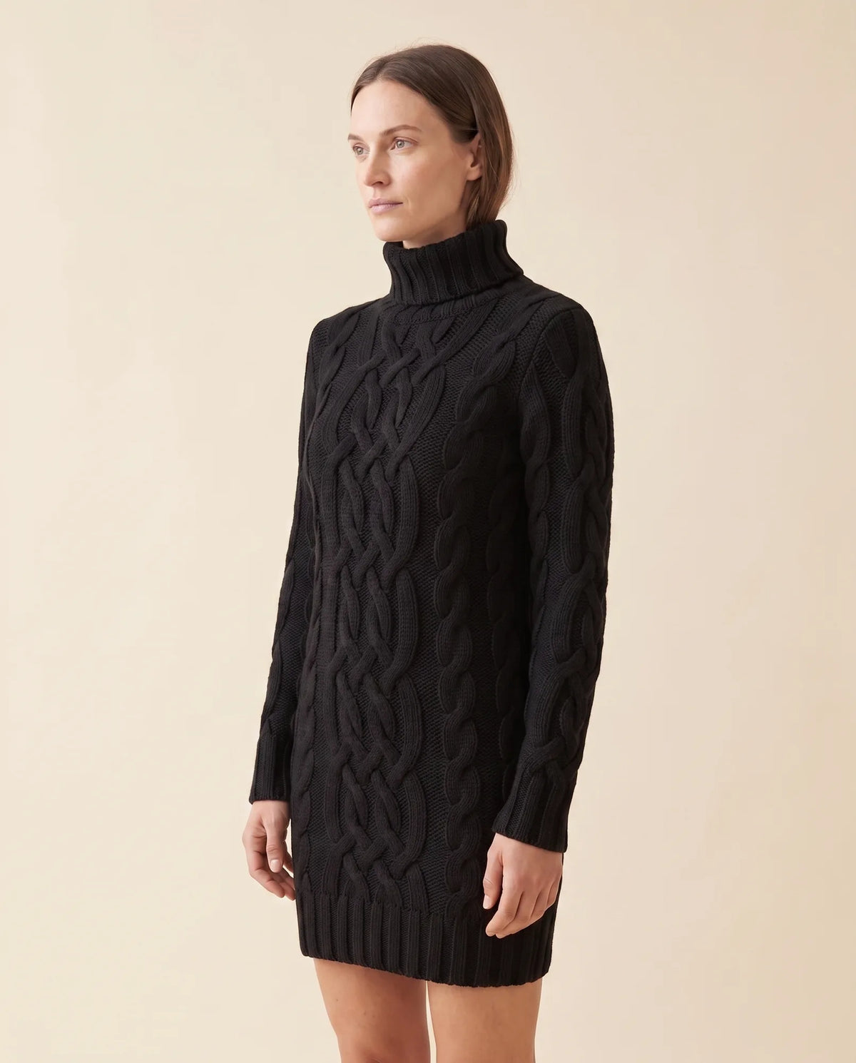Cecily Sweater Dress for Women - Cable Knit Turtleneck Long Sleeve - Black - side