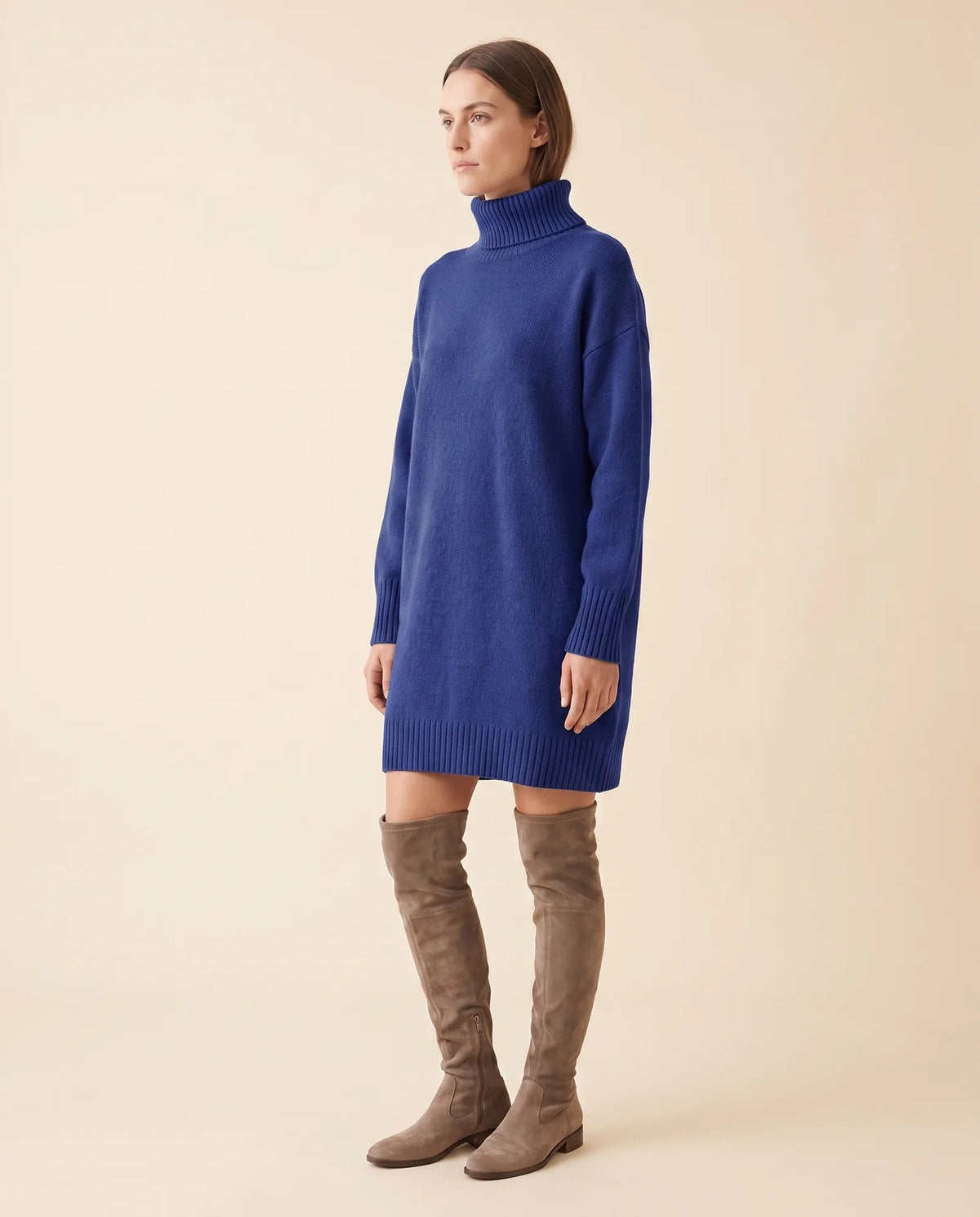 Tess Sweater Dress for Women - Turtleneck Long Sleeve Relaxed - Blue - side
