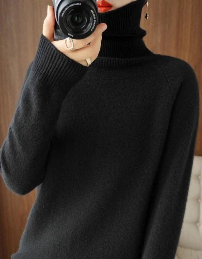 Turtleneck Knit Sweater