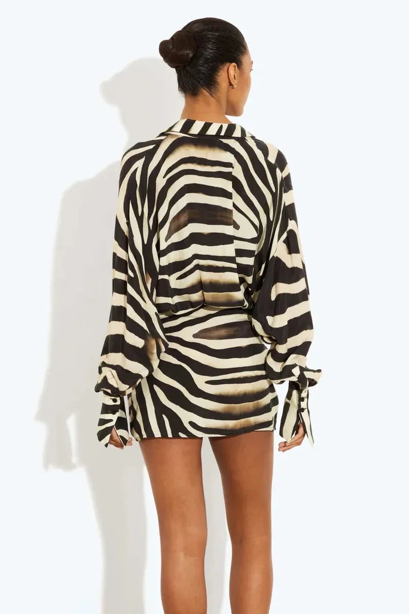 Zebra Print Long Sleeve Mini Dress